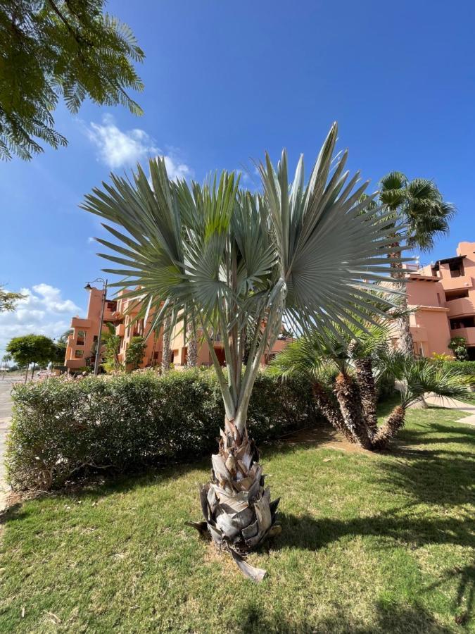 Spirit Of Mar Menor Apartment ตอร์เร-ปาเชโก ภายนอก รูปภาพ